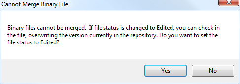 CannotMergeBinaryFiles.PNG
